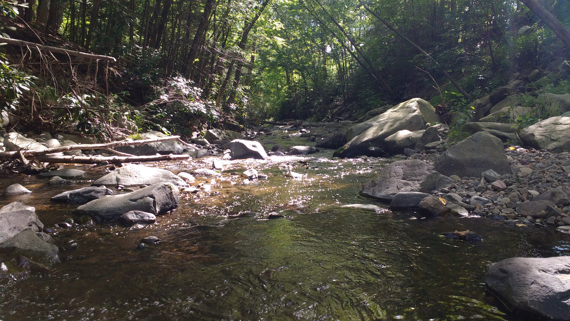 Downstream view of a shallow rocky creek.