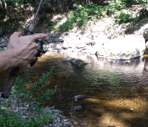 How to Pitch Cast a Fishing Lure