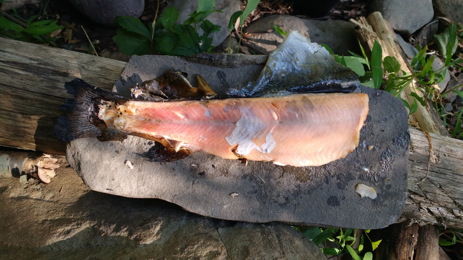 Cooked trout Top Strike Fishing