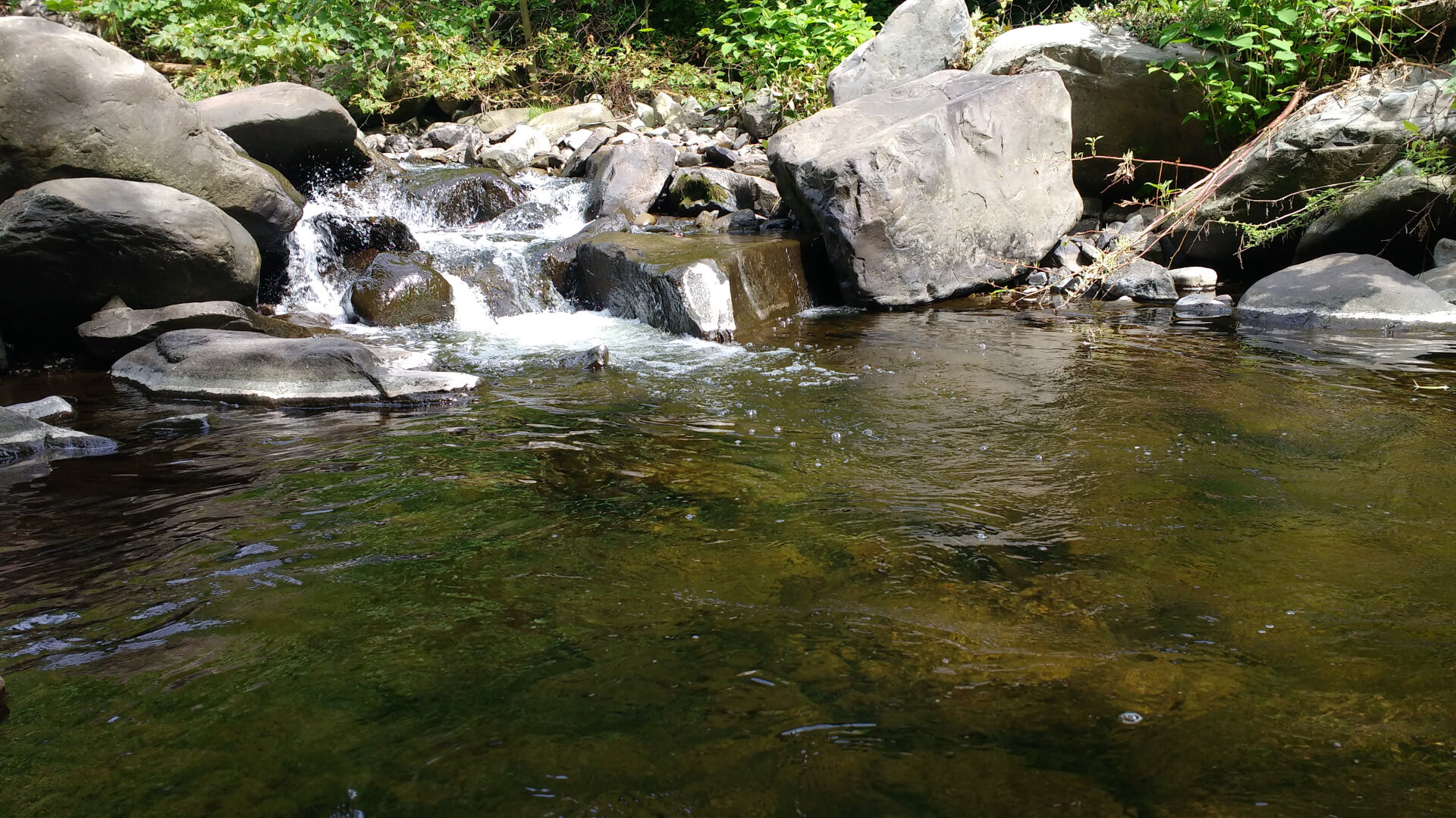 Trout pool Top Strike Fishing