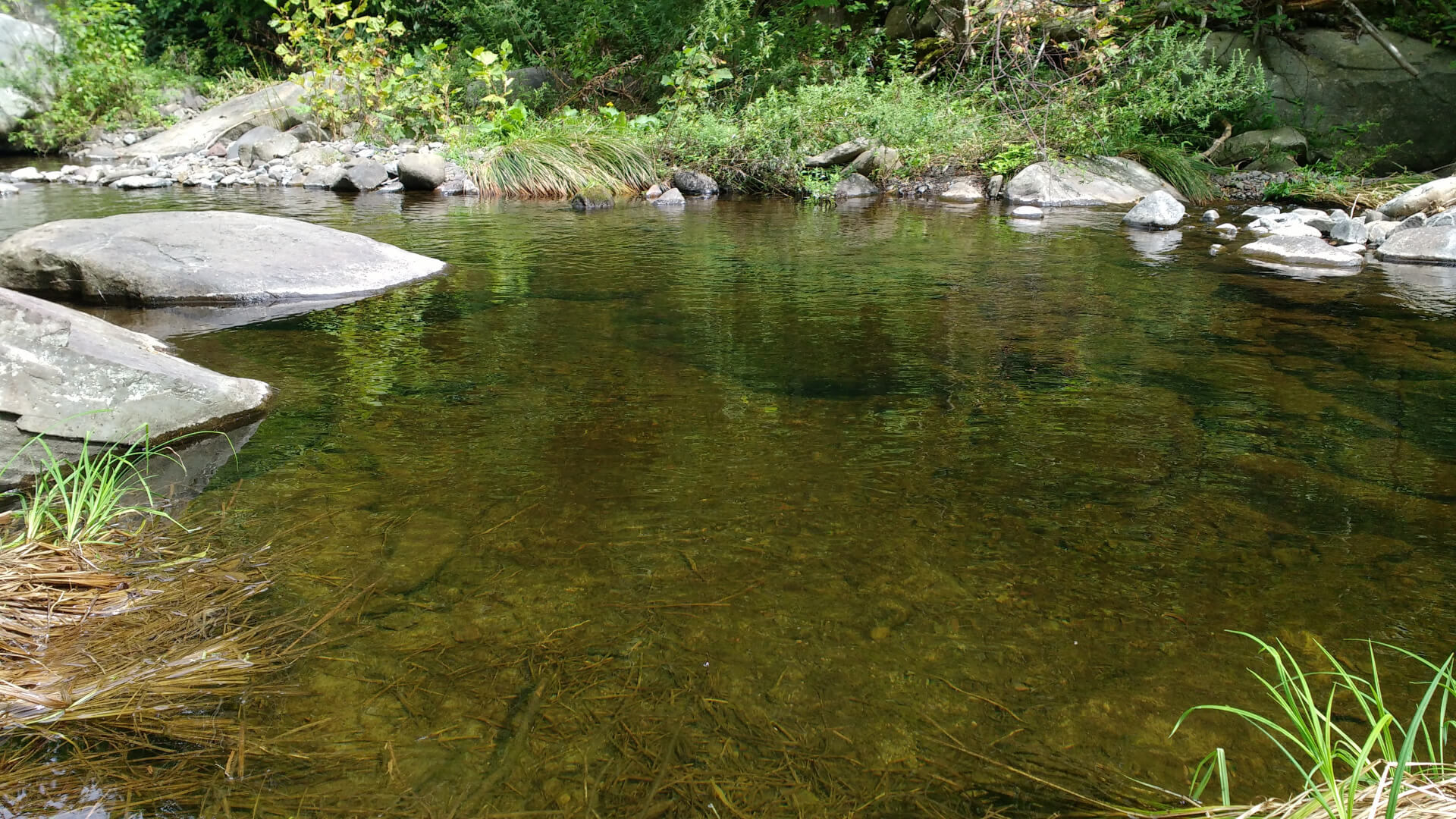 Trout fishing pool Top Strike Fishing
