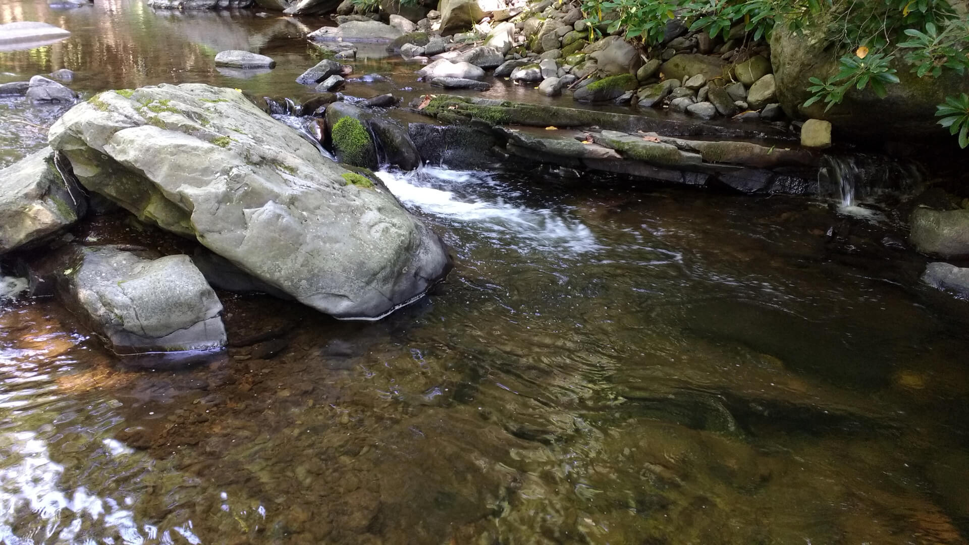 Trout pool Top Strike Fishing