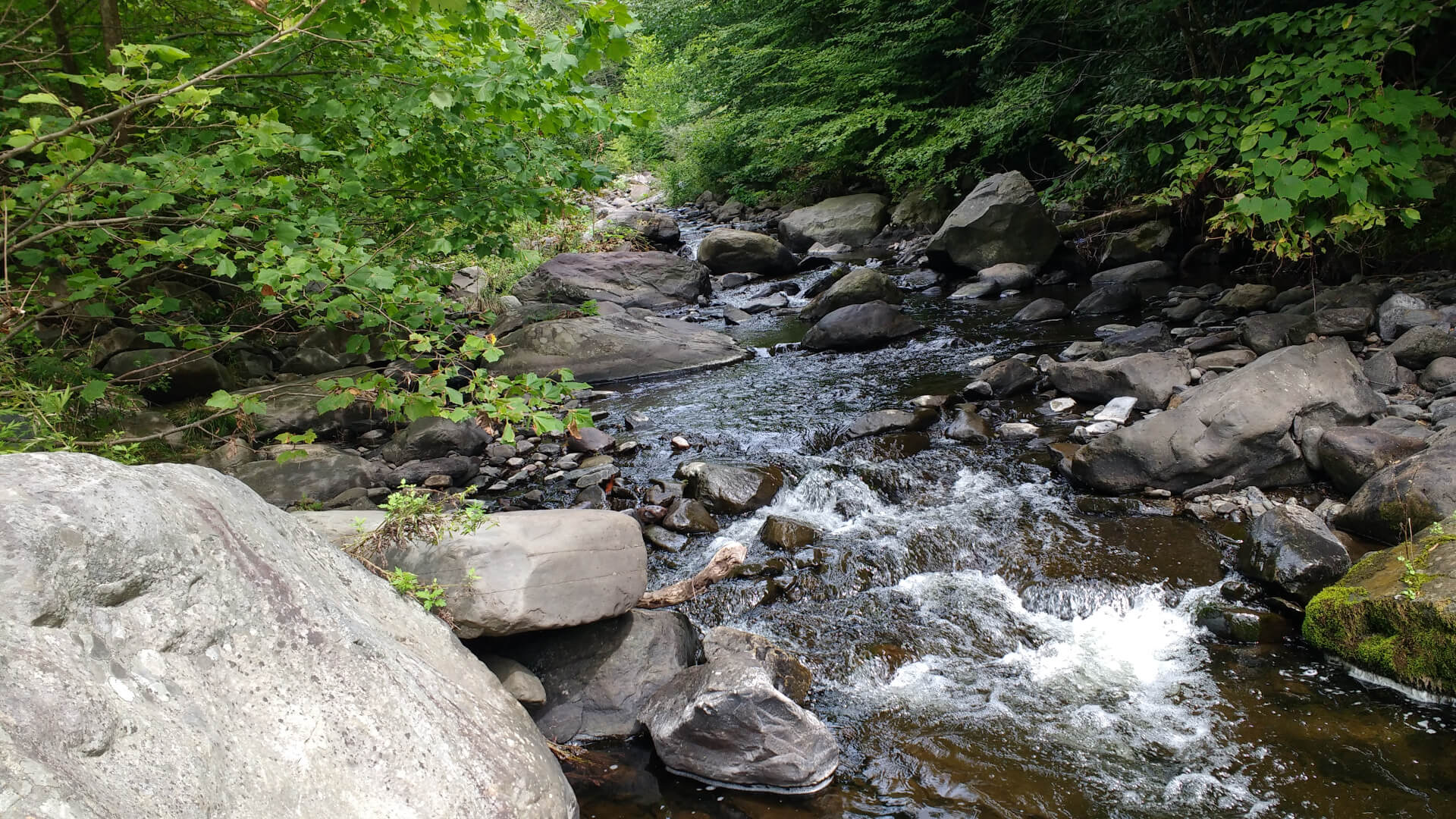 Creek rapids Top Strike Fishing