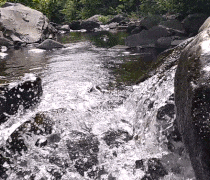 Waterfall GIF Top Strike Fishing