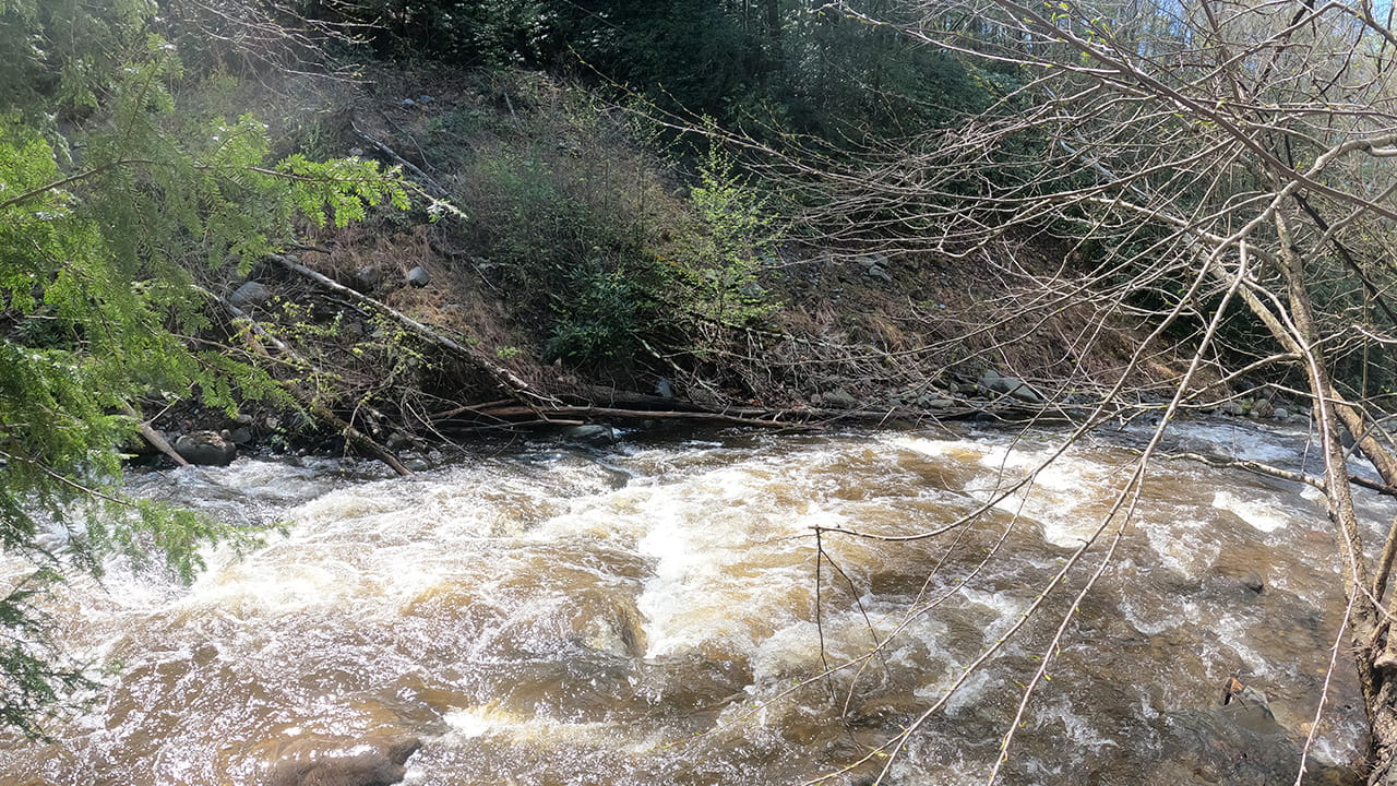 A photograph of fast moving water in a creek. Taken after heavy rainfall while fishing during runoff.