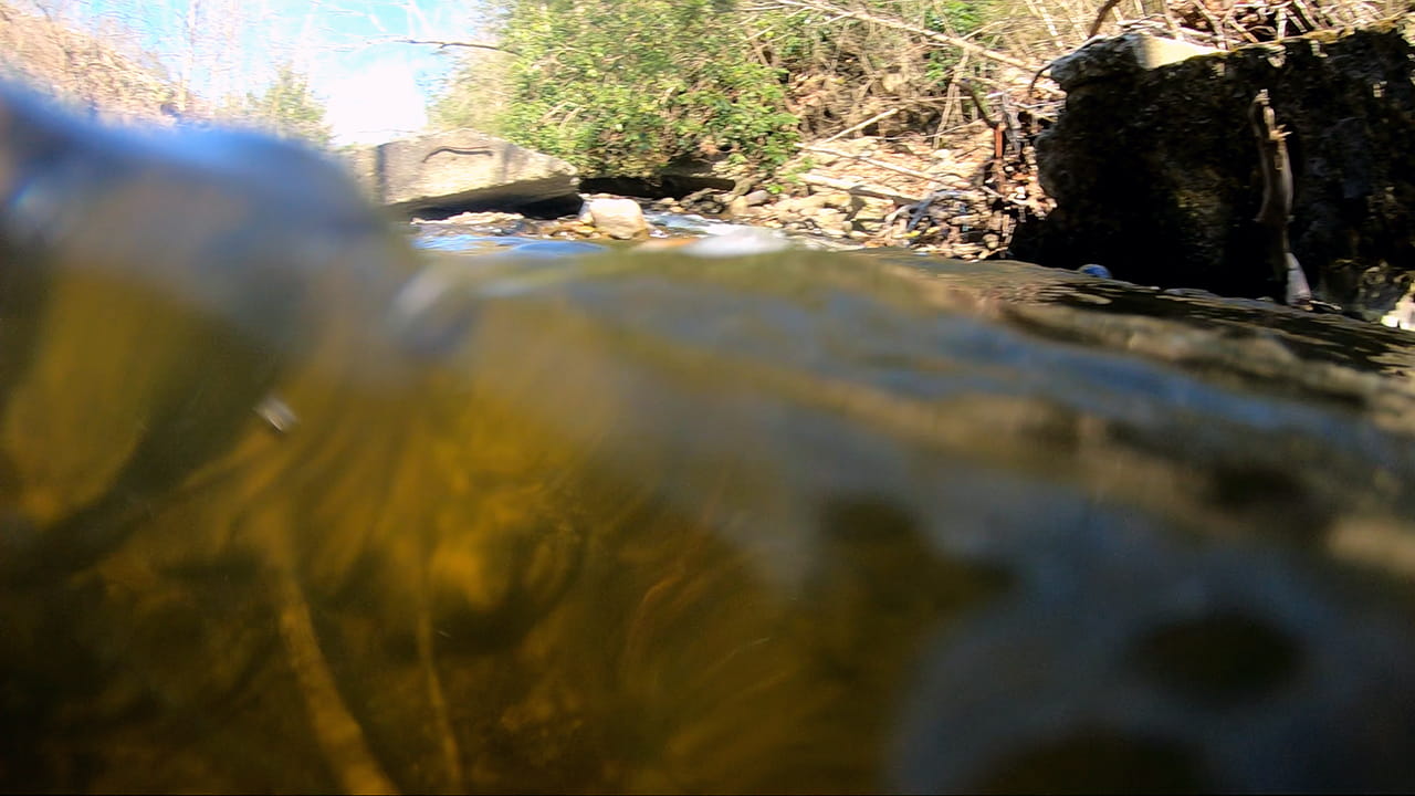 Image of a camera lens half submerged in creek water and half above the surface.