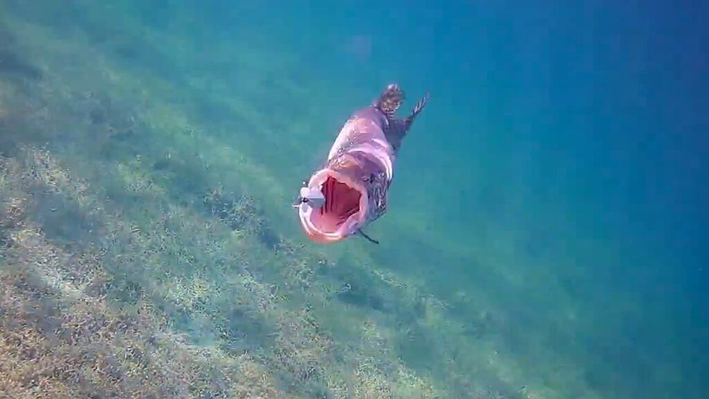 Underwater footage of a northern pike moving in to bite a Top Strike Fishing spinner. Captured by Italo Labignan of Canadian Sportfishing.