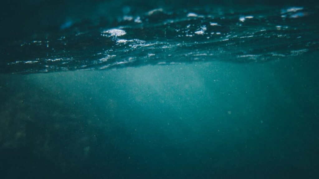 An underwater view near the surface. The surface is visible at the top with the lower third showing a gradient of light going from dark to bright rays of sun.