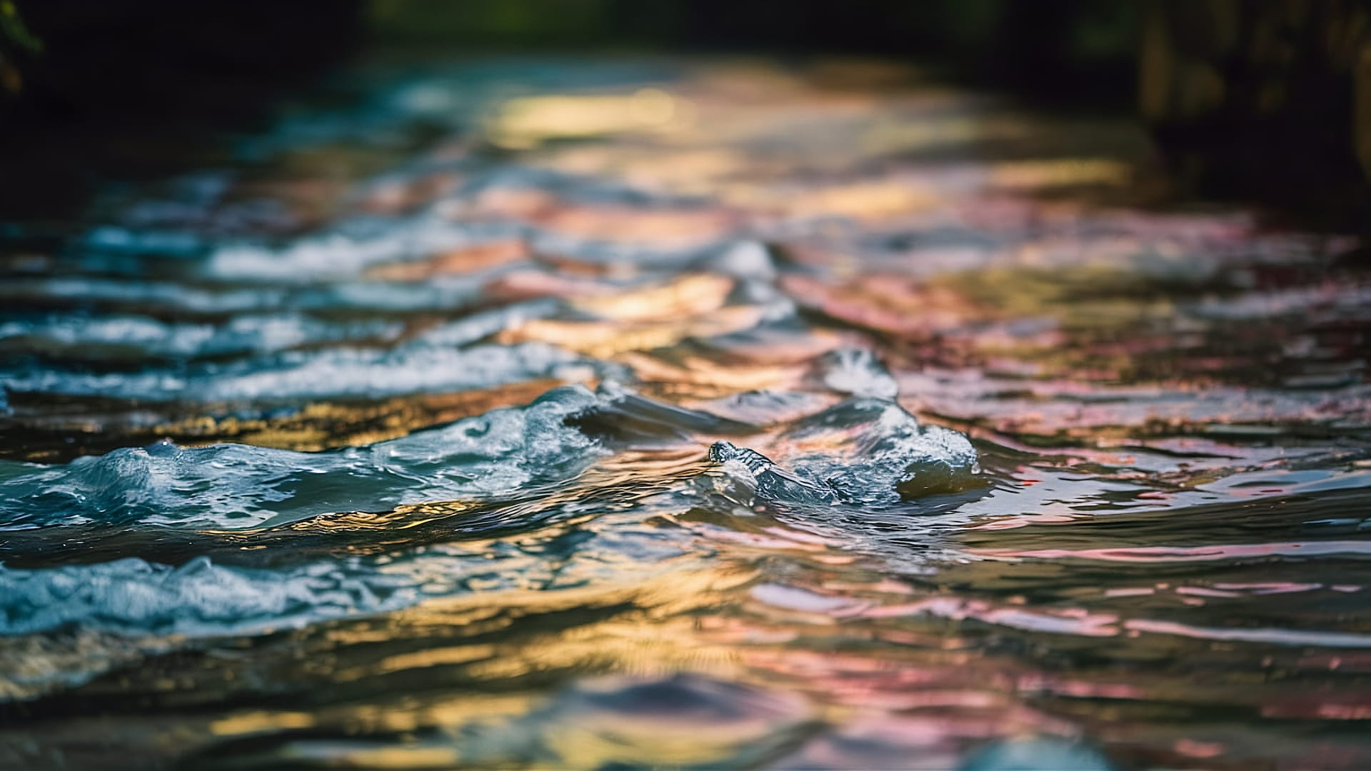 Surface of Water with small waves reflecting yellow and purple sunset lighting.
